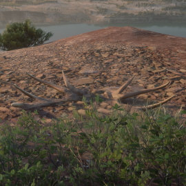 In-Game Dinosaur Bone Location