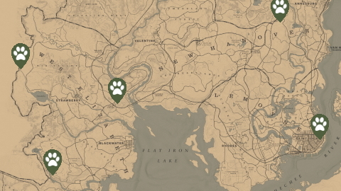 Trapper Locations